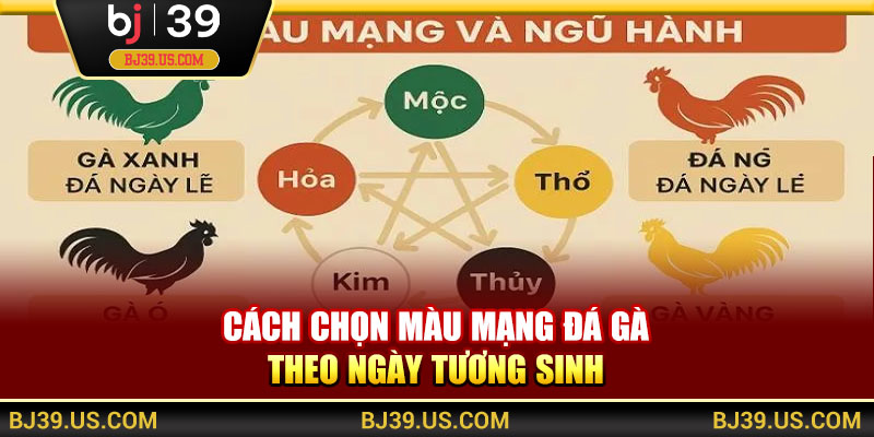 Cách chọn màu mạng đá gà theo ngày tương sinh