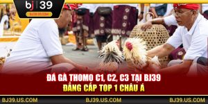 Đá gà Thomo