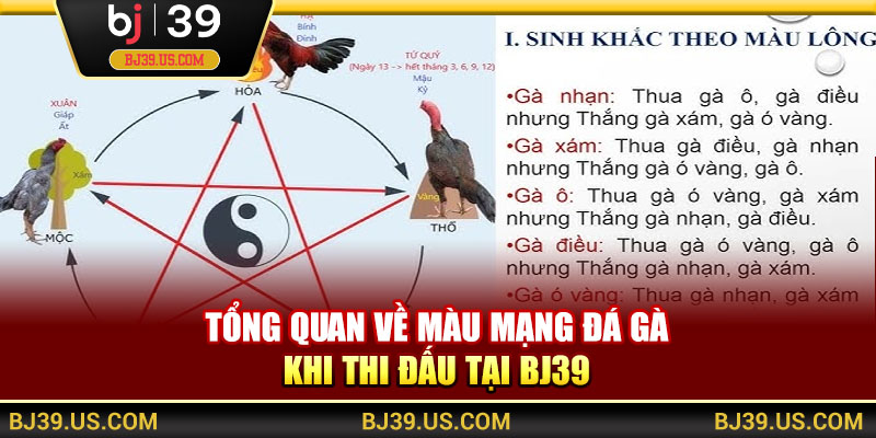 Tổng quan về màu mạng đá gà khi thi đấu